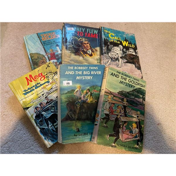 Bobsy Twins Childrens Book Collection