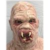 Image 7 : "The X-Files" - The Flukeman/Flukeworm (The Host) Monster cowl/mask w/ stand made by WCT Productions