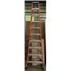 Image 1 : Werner Ladder 10ft