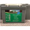 Image 2 : Group of 10 Haze electric vehicle AGM batteries & Xantrex battery charger 15