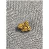 Image 2 : .44gr Gold Nugget From Browns Creek, Dawson City, Yukon