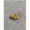 Image 2 : .44gr Gold Nugget From Browns Creek, Dawson City, Yukon