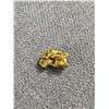 Image 2 : .96gr Gold Nugget From Browns Creek, Dawson City, Yukon