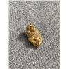 Image 2 : .93gr Gold Nugget From Browns Creek, Dawson City, Yukon