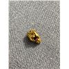 Image 2 : .60gr Gold Nugget From Browns Creek, Dawson City, Yukon