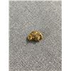 Image 2 : 1.13gr Gold Nugget From Browns Creek, Dawson City, Yukon