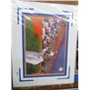 Image 4 : 6-Florida Gators Photo Memorabilia - 6 X $