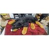 Image 2 : LARGE ROTTWEILER PILLOW
