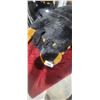 Image 4 : LARGE ROTTWEILER PILLOW