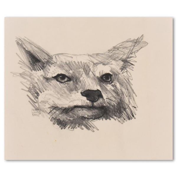 Foxy by Bragg Original