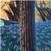 Image 2 : Untitled by Finney, Vernon