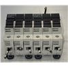 Image 2 : (2) Allen Bradley #1492-FB3C30-L Circuit Breakers