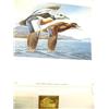 Image 4 : Lot of 5 Alaska Waterfowl Conservation Stamp prints: 1985 stamp print by Daniel Smith Executive Edit