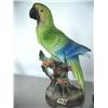 Image 2 : Lot of: 4 pottery parrots (16)