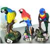 Image 3 : Lot of: 4 pottery parrots (16)