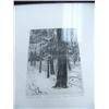 Image 3 : Lot of: 3 pictures- Indian temple scene, trees in a forest, original face (25)