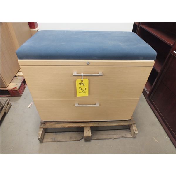 2 Drawer Office Cabinet