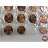Image 9 : USA Pennies (2 Sheets of 86 each = 172 Coins) : Both Sheets ~ 1934 - 2019 (SEE PICS!)