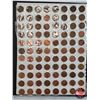 Image 13 : Canada One Cent Collection - Binder Lot (5 Sheets of 88 Coins per Sheet = 440 Coins) (Each Sheet Con