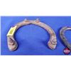 Image 3 : Horse Shoes (3) (SEE PICS!)