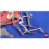 Image 2 : Equestrian / Tack Grouping with Scuttle : Bits, Stirrups, Horse Shoes, Files, etc ! (Scuttle Measure