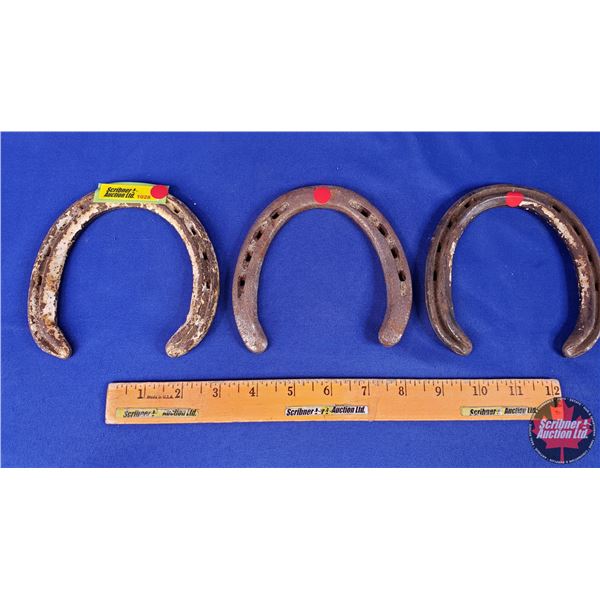 Horse Shoes (3) (SEE PICS!)