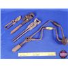 Image 1 : Variety Vintage Hand Tools (4): Pipe Wrench; Hand drill; Hedge Sheers; Hoof Trimmers (Drill 19-3/4")