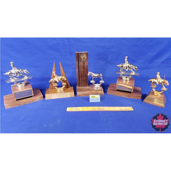 Variety Rodeo/Horseman Trophies (Tallest Measures: 9"H x 6"W x 4-1/2"D) (SEE PICS!)