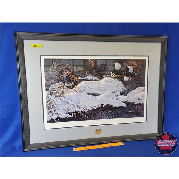 Limited Edition Framed Print: "Hooded Mergansers" by Bruce Miller : Ducks Unlimited 1999 Internation