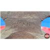 Image 3 : ANVIL "TRENTON USA" (81.2 LBS) (8"H x 8-1/2"W x 22-1/2"D) (SEE PICS!)