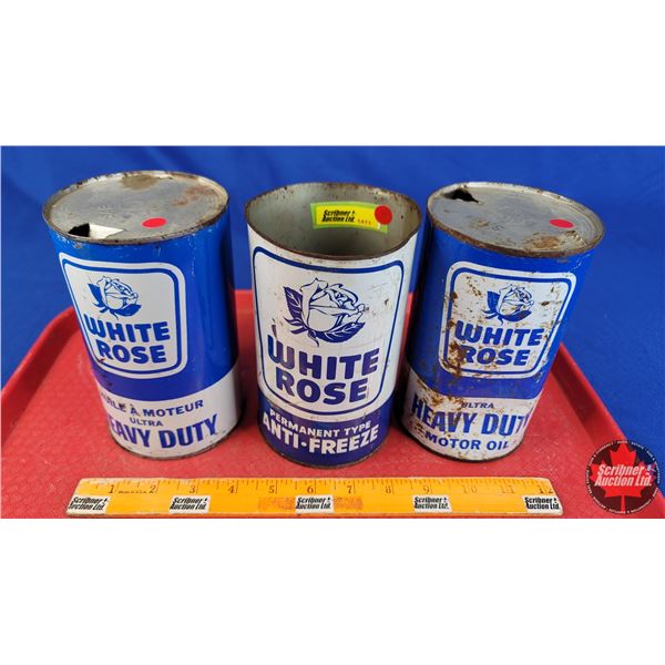 OIL TINS (3): WHITE ROSE - Variety Blue & White (6-1/2"H x 4"Dia) (SEE PICS!)