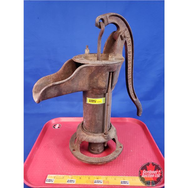 Pitcher Water Pump : BLUE BIRD 1925 SMART BROCKVILLE CANADA (18"H) (SEE PICS!)