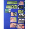 Image 3 : Vintage Green Baret Cards (c.1966) (29 Cards) (SEE PICS!)
