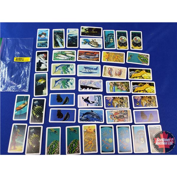 Red Rose-Blue Ribbon Tea/Coffee Collector Cards (1971) "National Wildlife Foundation" (41 Cards) (SE