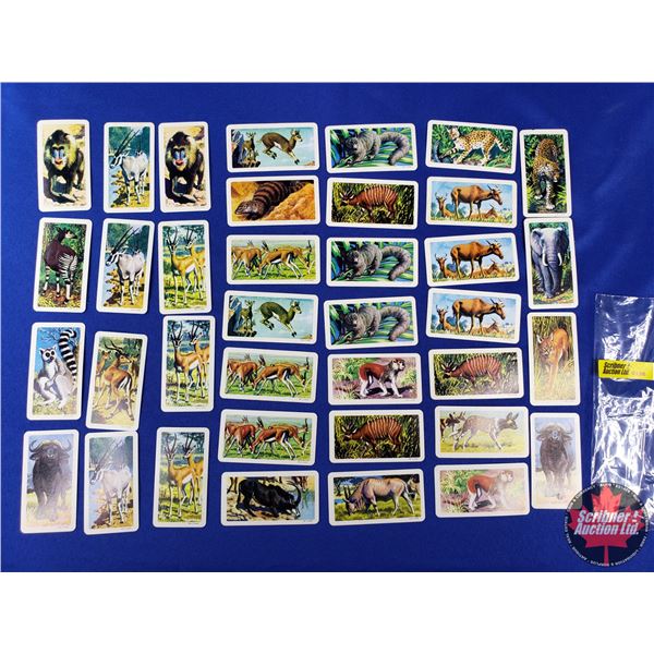 Red Rose-Blue Ribbon Tea/Coffee Collector Cards (1971) "African Animals" (38 Cards) (SEE PICS!)