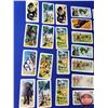 Image 2 : Red Rose-Blue Ribbon Tea/Coffee Collector Cards (1971) "African Animals" (38 Cards) (SEE PICS!)
