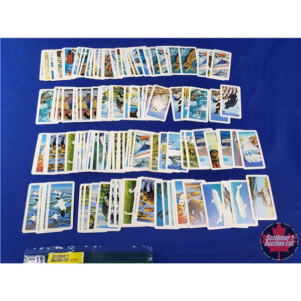 Red Rose Tea Cards (1973) "National Wildlife Foundation" (132 Cards) (SEE PICS!)