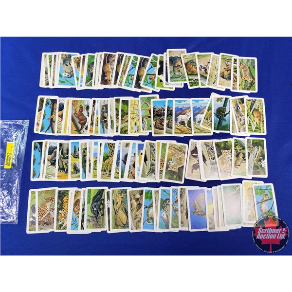 Red Rose-Blue Ribbon Tea/Coffee Collector Cards (1972) "National Wildlife Foundation" (111 Cards) (S