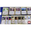 Image 8 : Pokémon/Nintendo Playing/Trading Cards : Large Collection including Champion & Regular (c.2000's) (1