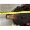 Image 10 : BEAR RUG (Teeth/Claws in tact) (73"L x 64"W) (SEE PICS!)