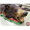 Image 2 : BEAR RUG (Teeth/Claws in tact) (73"L x 64"W) (SEE PICS!)