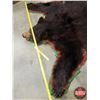 Image 6 : BEAR RUG (Teeth/Claws in tact) (73"L x 64"W) (SEE PICS!)