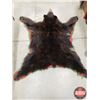Image 8 : BEAR RUG (Teeth/Claws in tact) (73"L x 64"W) (SEE PICS!)