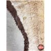Image 13 : Cougar Rug (56" x 94") (SEE PICS!)