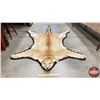 Image 1 : Cougar Rug (56" x 94") (SEE PICS!)