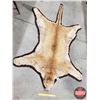Image 2 : Cougar Rug (56" x 94") (SEE PICS!)