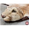 Image 4 : Cougar Rug (56" x 94") (SEE PICS!)