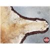 Image 6 : Cougar Rug (56" x 94") (SEE PICS!)