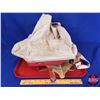 Image 3 : Cyclone Model 2A Heavy Duty Seed Sower (6"H x 16"W x 13"D) (SEE PICS!)