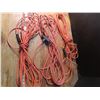 Image 2 : 3 long extension cords